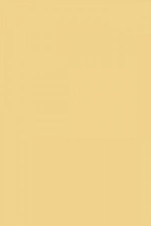 FARROW AND BALL DORSET CREAM  NO. 68 PAINT